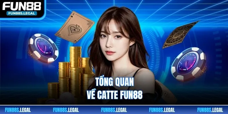 Tổng quan về Catte FUN88